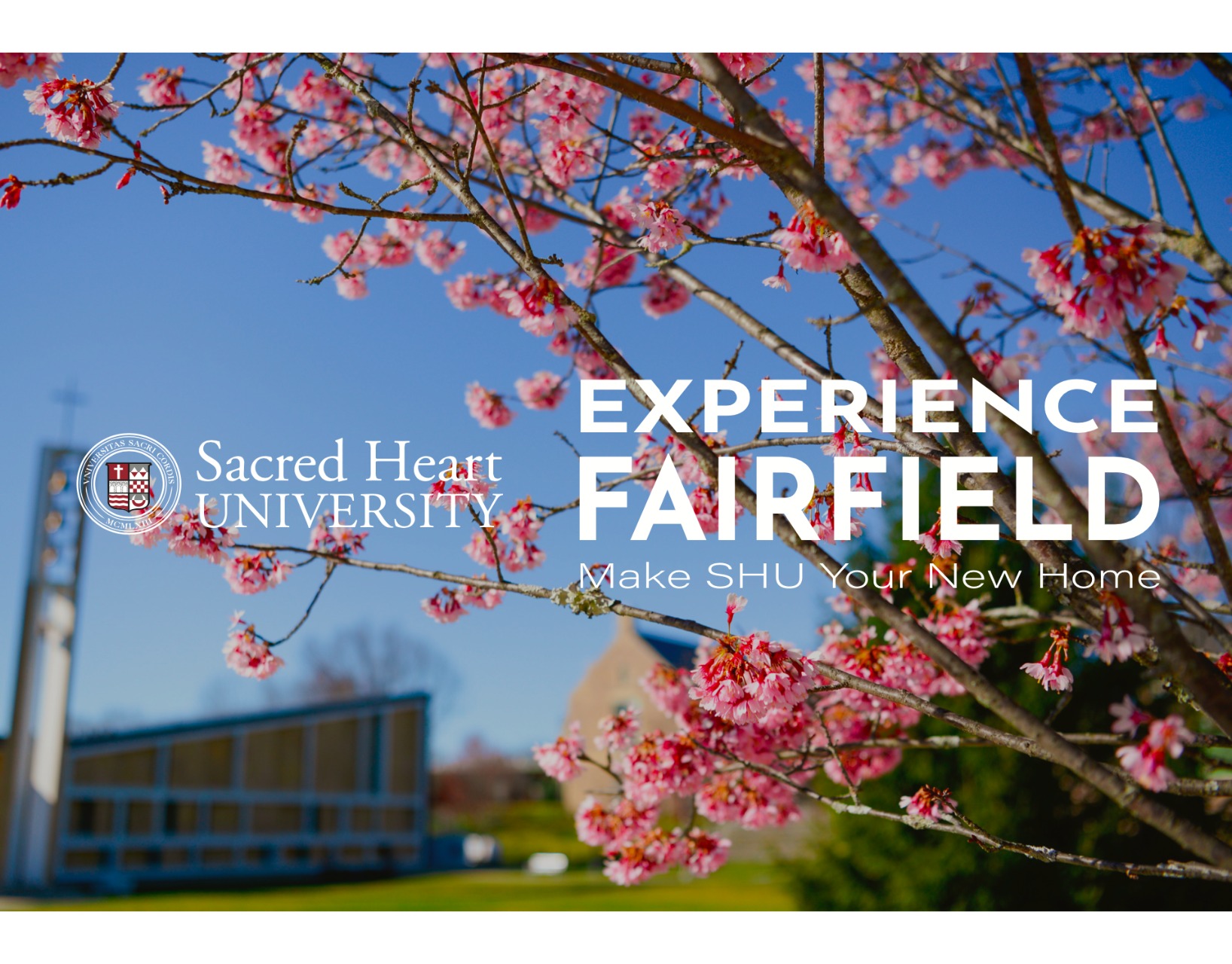 Sacred Heart University Graphic Ad